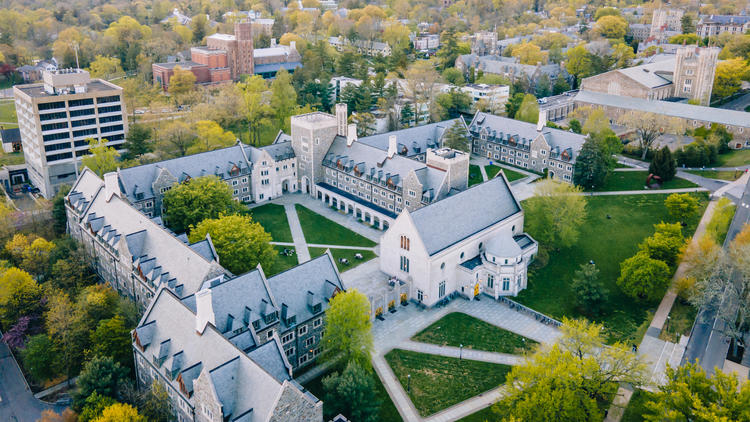 Whitman College arial view