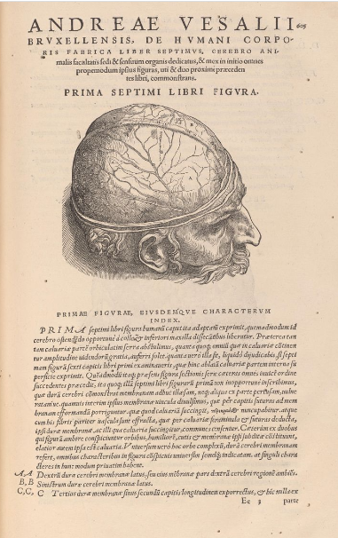 page depicting a human head from a cadaver, skin and bone peeled away to reveal the top half of the brain from from De Humani Corporis Fabrica (Of the Structure of the Human Body) by Andreas Vesalius 1543